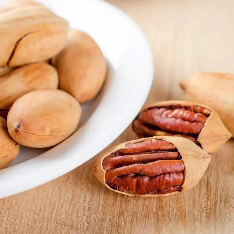 2022 Best Factory Price Of Pecans Nuts Available In Bulk Stock With Custom Packing
