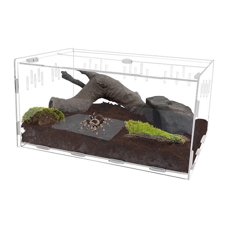 Контейнер для рептилий акриловый, большая коробка для питья, Террариум, Тарантул для мелких животных, насекомых, для дома и офиса
