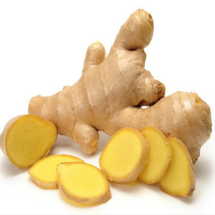 Young Fresh Ginger For Export  Low Price of Fresh Garlic as A Food Garlic