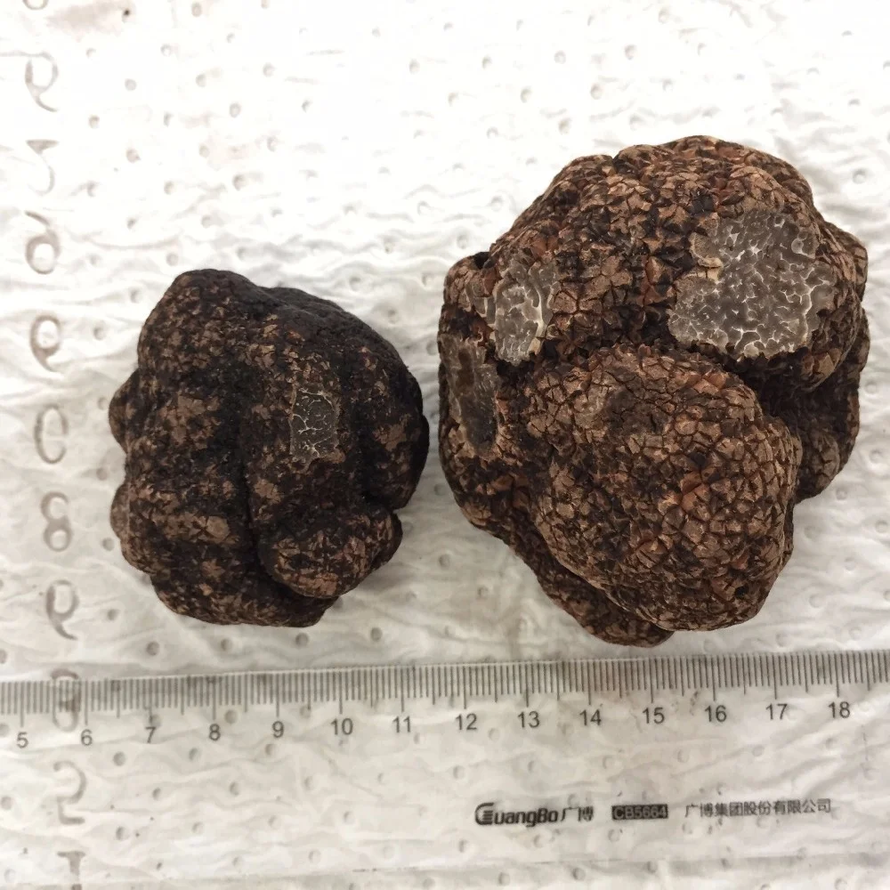 100% дикий клубень индийский рыночные цены на грибы сушеный черный трюфель для продажи