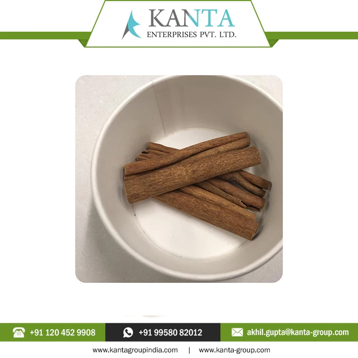 Best Selling Medically Tested Cinnamon Essential Oil Fight bacteria, parasites and fungi at Low Price