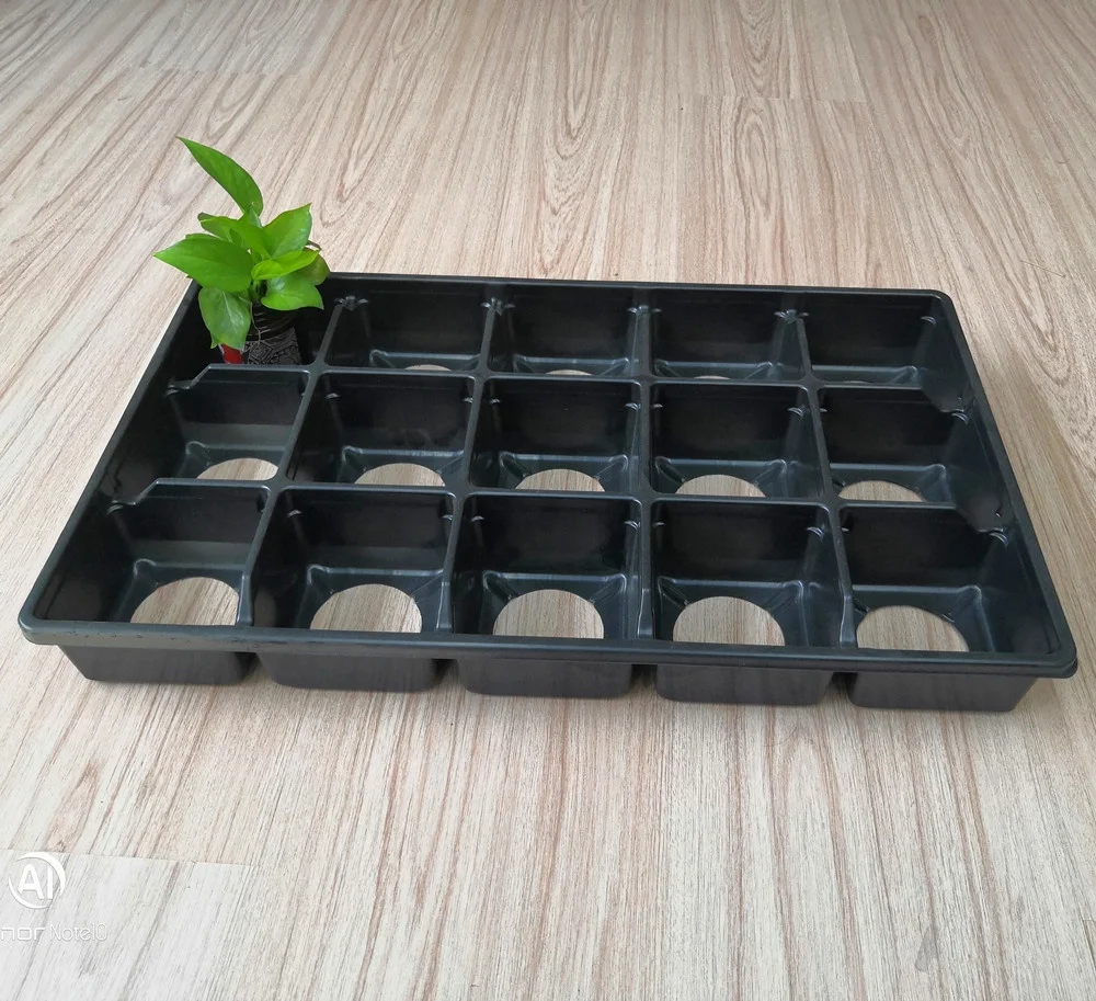 New Arrival Vegetables 10X20 Seed Sprouting Tray
