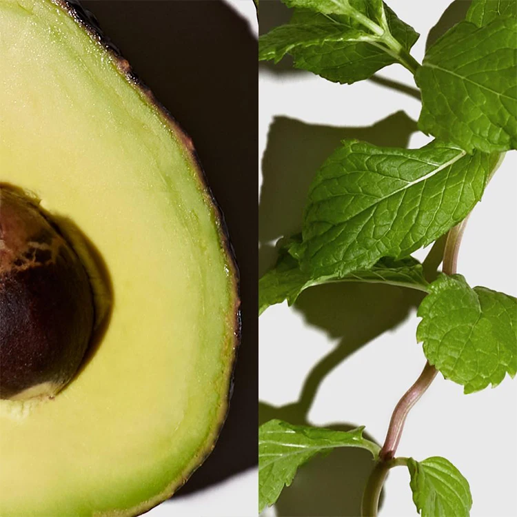 Kangrong Private Label Hair Care Organic Travel Size Moisturizing Nourishing Mint Avocado Shampoo Bar Soap Shampoo Bar