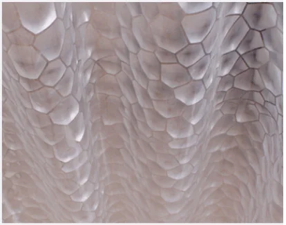 
hot selling polyester waterproof shower curtain peva 