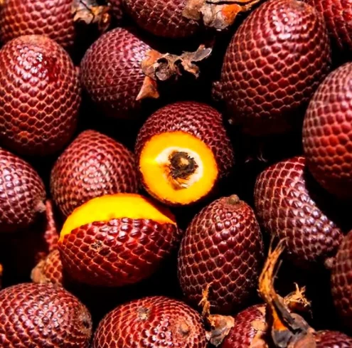 Травяной ингредиент от производителя капсулы для увеличения ягодиц Красного мака