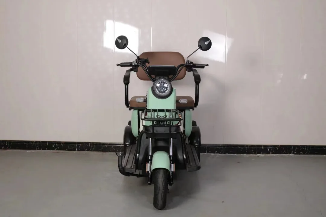 Parts 3 Wheel Passenger Disabled Fat Electric Tricycle New X3