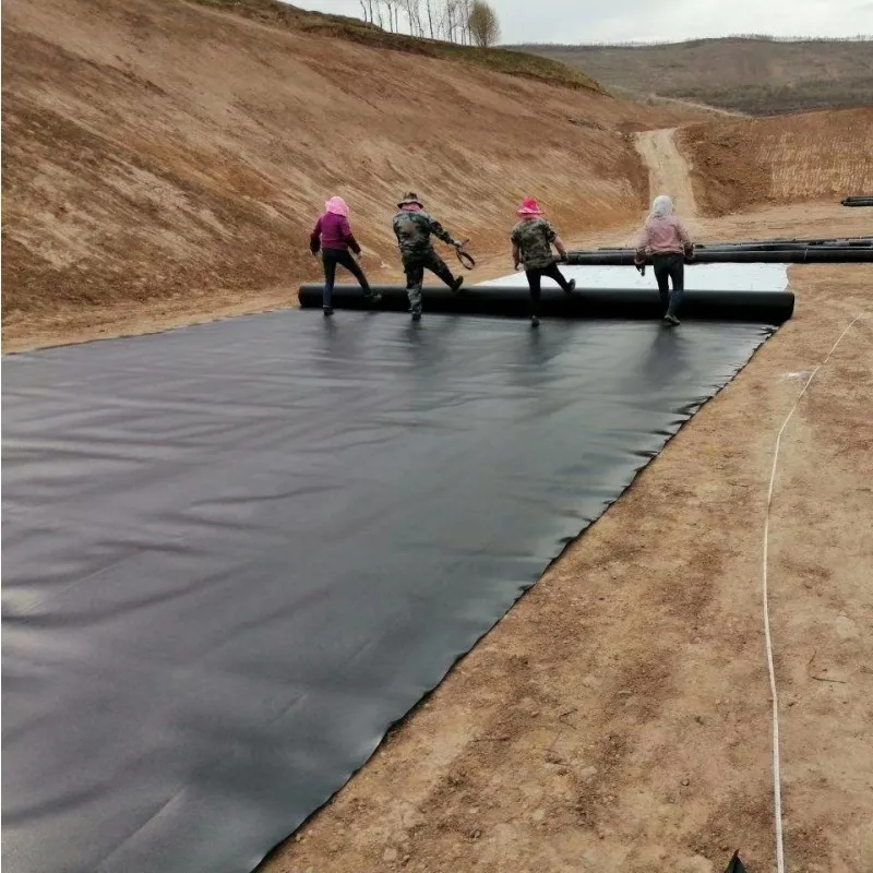 New material anti-seepage geotextile membrane anti-seepage and fish pond aquaculture black film 0.5mm polyethylene film