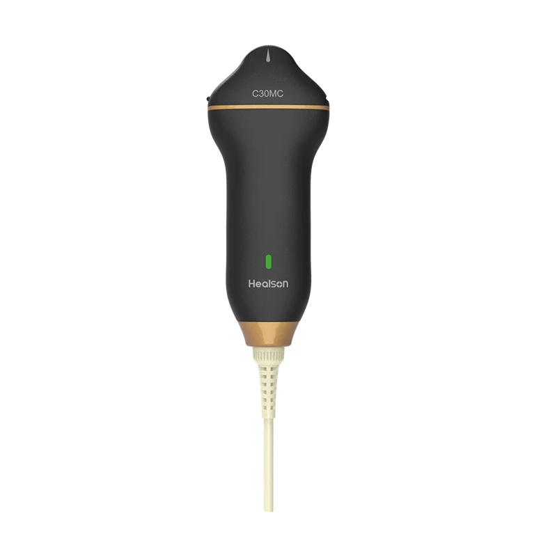 C30 handheld micro convex veterinary color Doppler