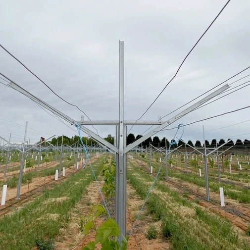 Metal galvanized grape open gable trellis system table grape Y shape post
