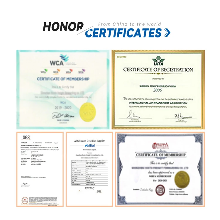 Top 10 Shenzhen Shipping Forwarder Door-to-Door Sea Cargo Freight Service EU USA UK Australia Delivery LCL+Express Shenzhen