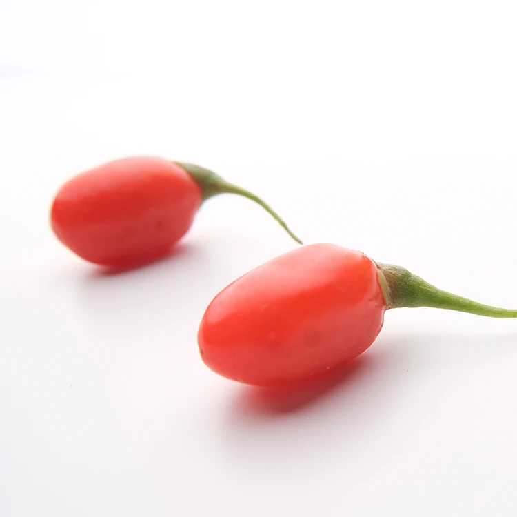 Red Power QIZITO sweet goji berry wolfberry tea semilla de goji