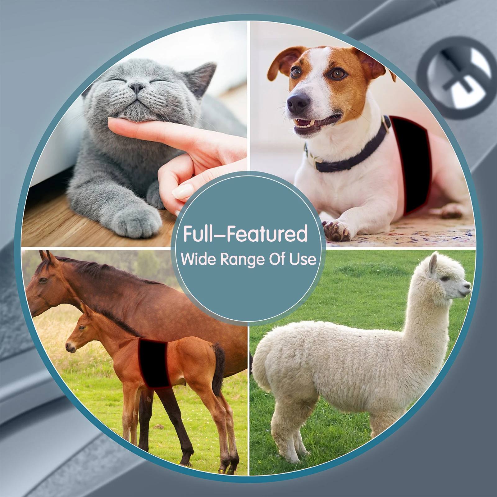 Ideatherapy Pain Relief Waist Arm Near Infrared Leg 660Nm 850Nm Red Infrared Light Therapy Belt