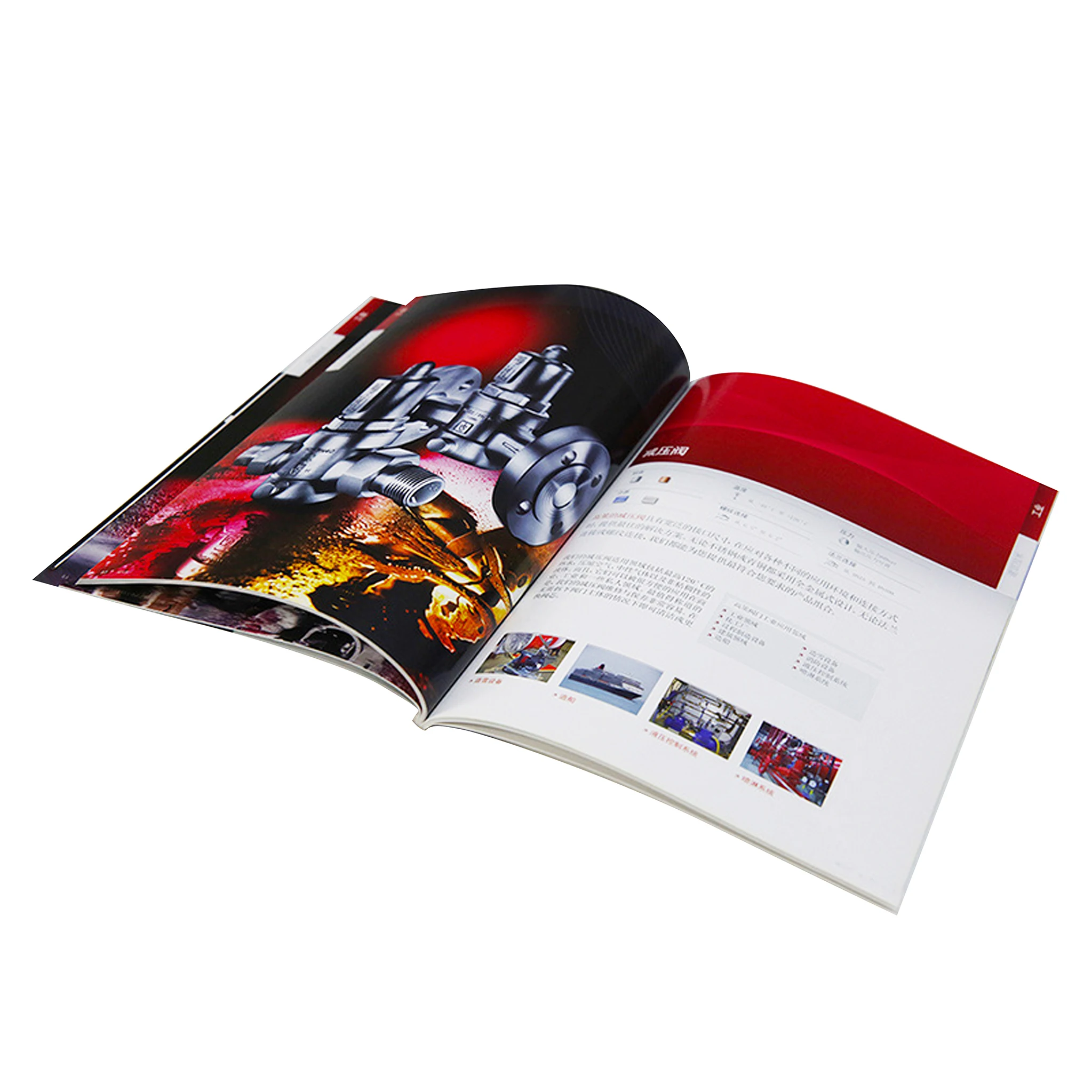 
Custom Logo Cmyk Business Fashion Garment Magazine Book Brochure Booklet Catalog Printing Service 