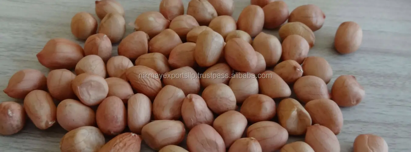 
GROUNDNUT PEANUT JAVA 50/60 ORIGIN ANDHRA PRADESH (AP) FROM NIK-MAY EXPORTS LLP 