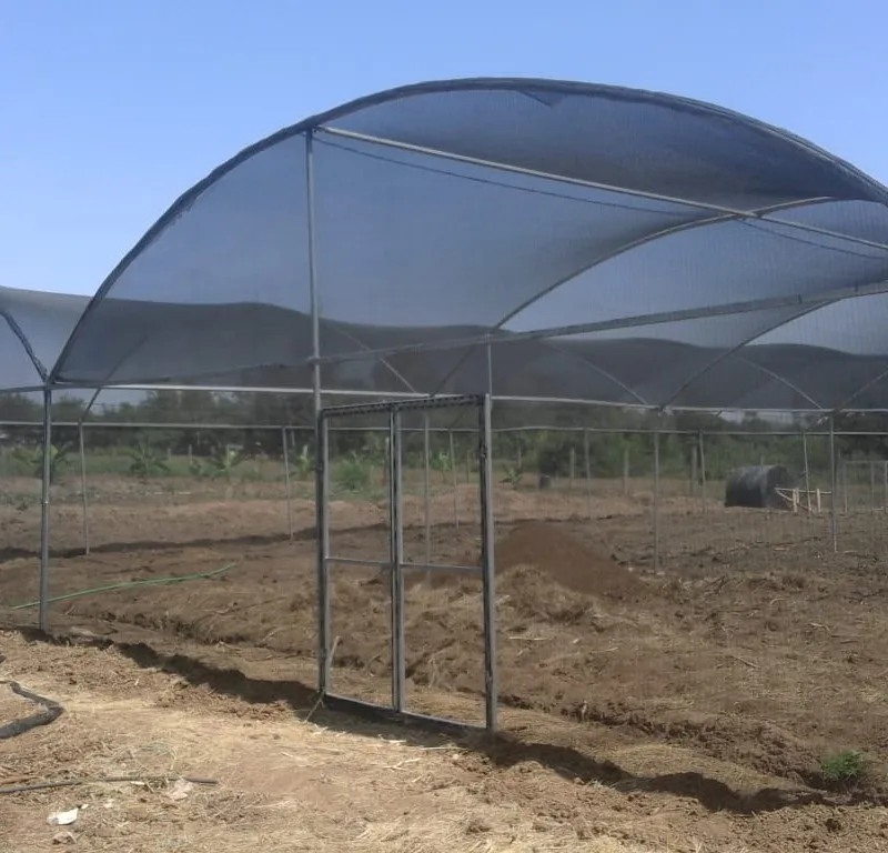 Shading Cloth Mesh Agricultural Shade Nets 70% Hdpe Greenhouse Dark Green Agriculture Shades Netting for Green House