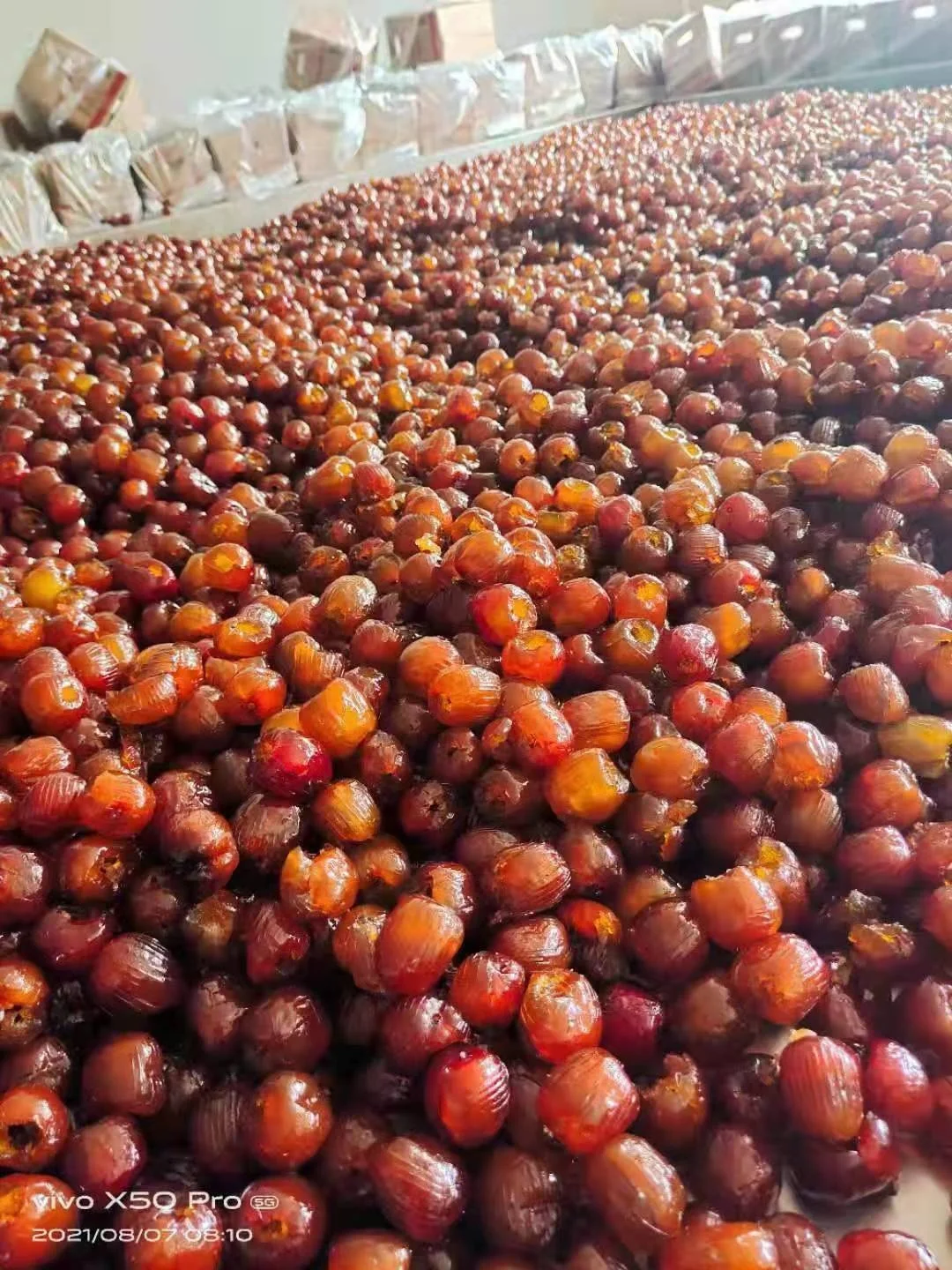 Chinese seedless date