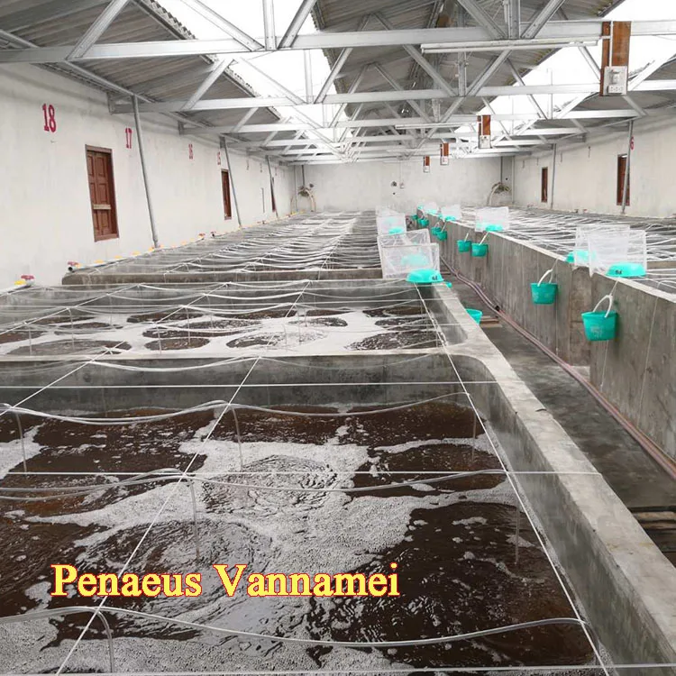 Aquaculture Fish Farming Equipments  Water Filters For Tiger Prawns