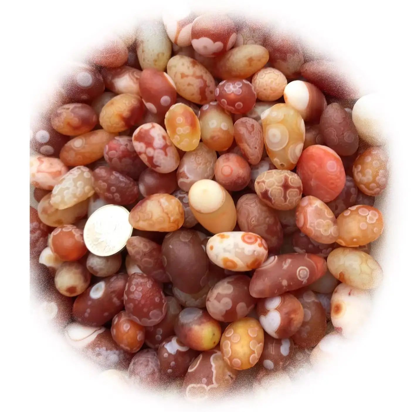 Gobi Agate A Naturally Occurring Green Agate With Eyes The Magical Healing Stones Natural Irregular Colorful  Agate stones