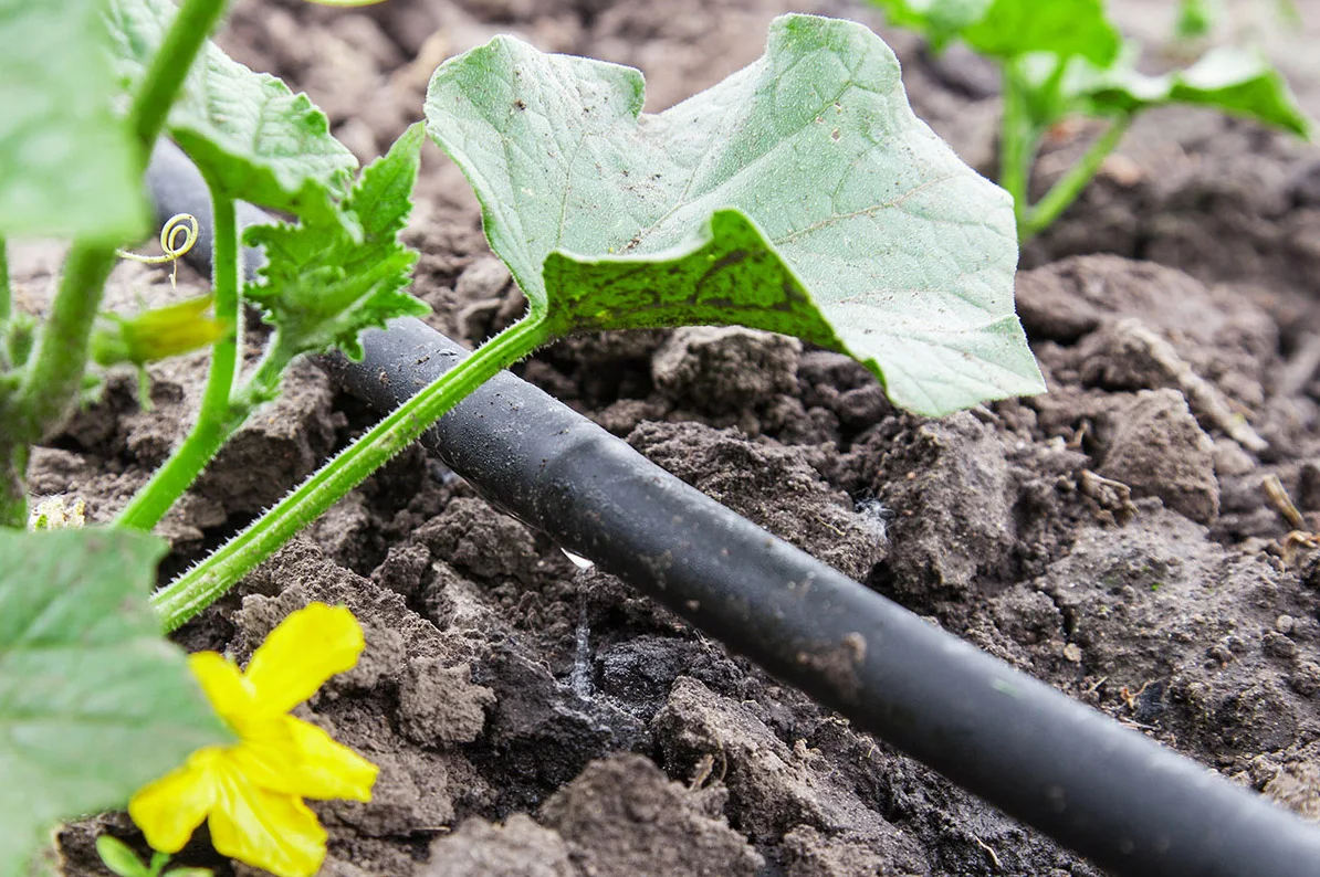 Agricultuer 2.0l/h ldpe circle inner dripper drip irrigation pipe