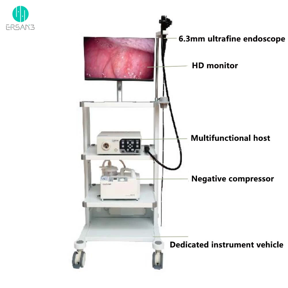 Newly listed gastroscopy colonoscopy medical gastrointestinal endoscopy system Animal endoscopic
