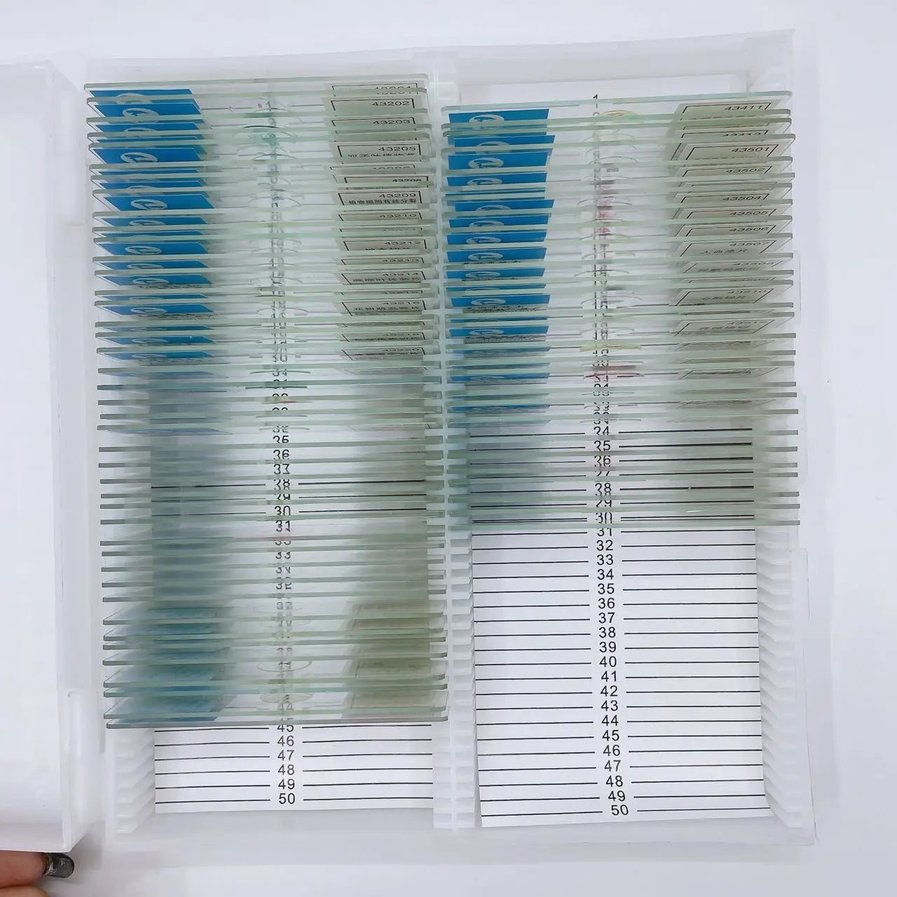 70 Slices Of Biological Tissue Slides Wooden Case Packing For Basic Biological Science Education Microscope Biological