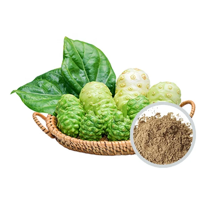 Best quality Noni powder morinda citrifolia  fruit extract for healthy immunity