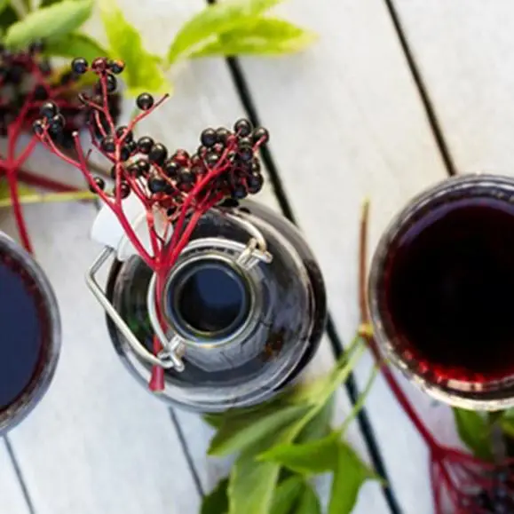 
Free sample Organic Elderberry Extract Powder/Anthocyanidins / elderberry P. E. 