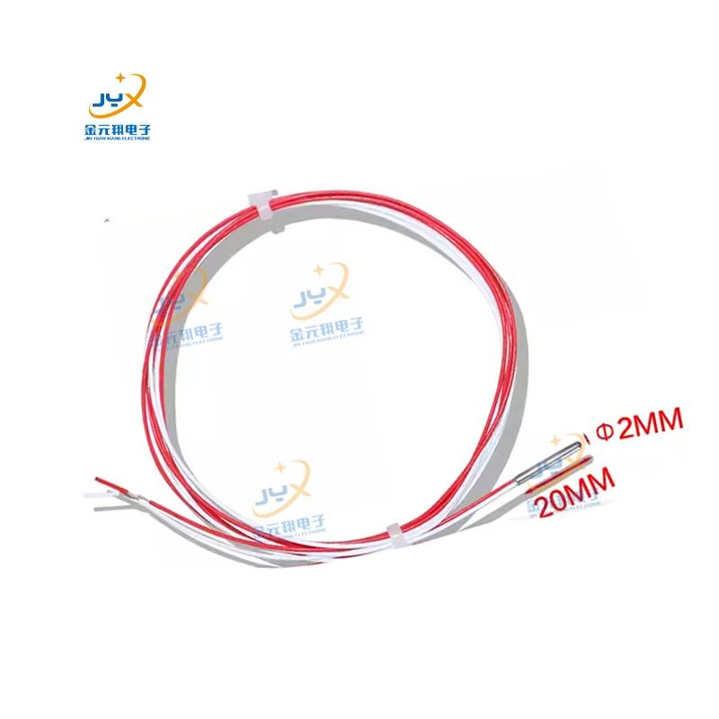 1m  Tube 2*20mm class A RTD PT100 Temperature Sensor 3.3m