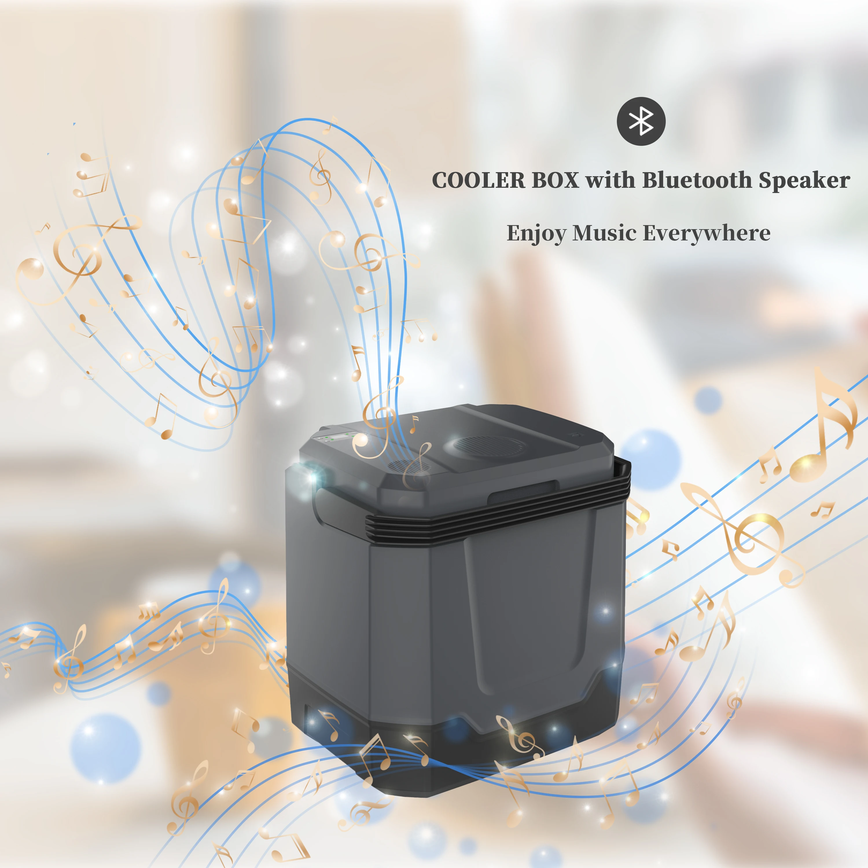 33L Portable Car Fridge Beer Bottle Can Warmer and Cooler for Outdoor or Camping Cooler Box  Car Refrigerator 12V