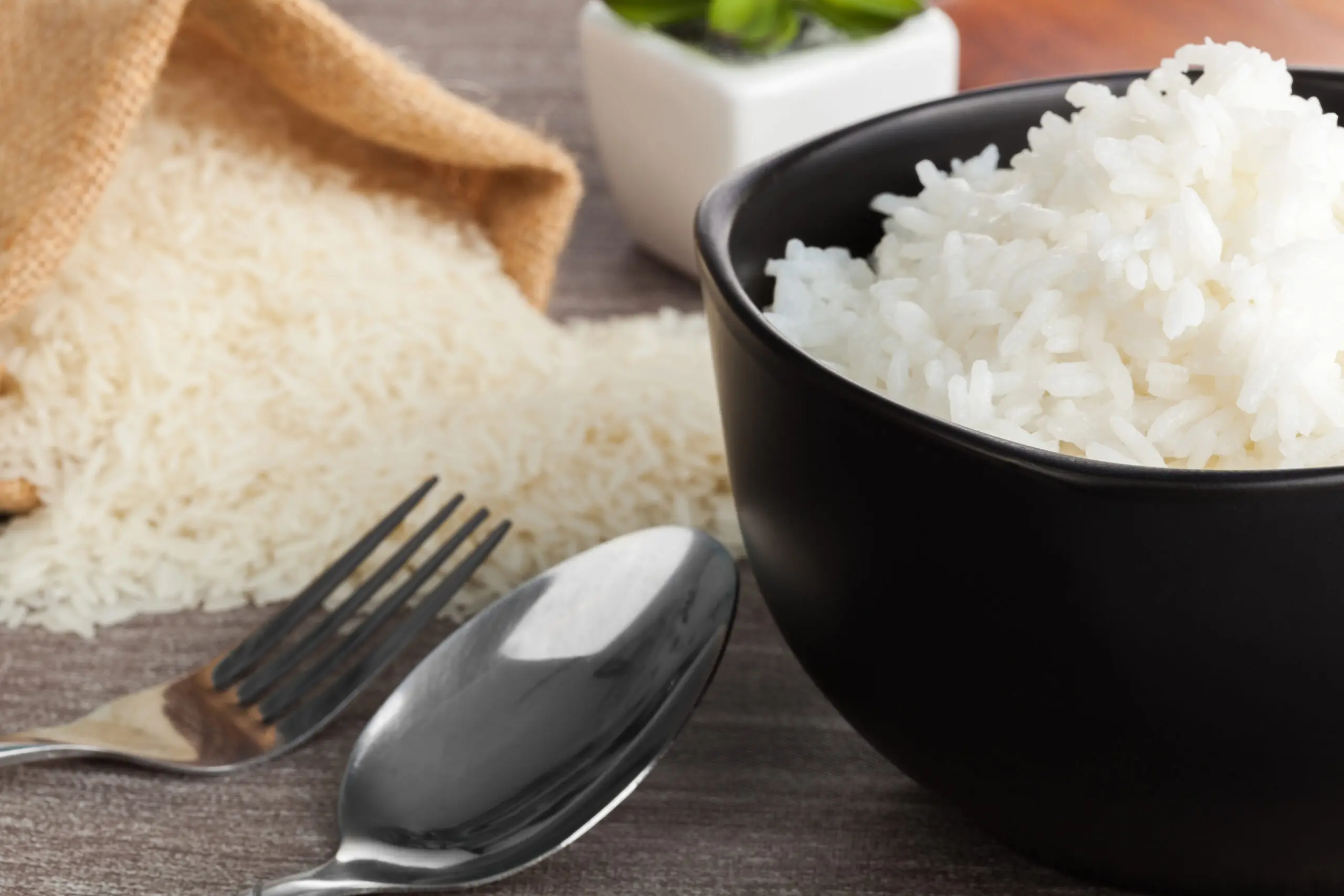 Cheap Price Agriculture Grain Rice White Jasmine Rice Thailand Ready to Eat 100% Thai Rice from Supplier in Thailand
