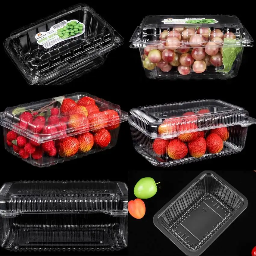 Custom Disposable PET Food Plastic Containers Transparent Fruit Clamshell Packaging Box for Cherry Tomato Grape
