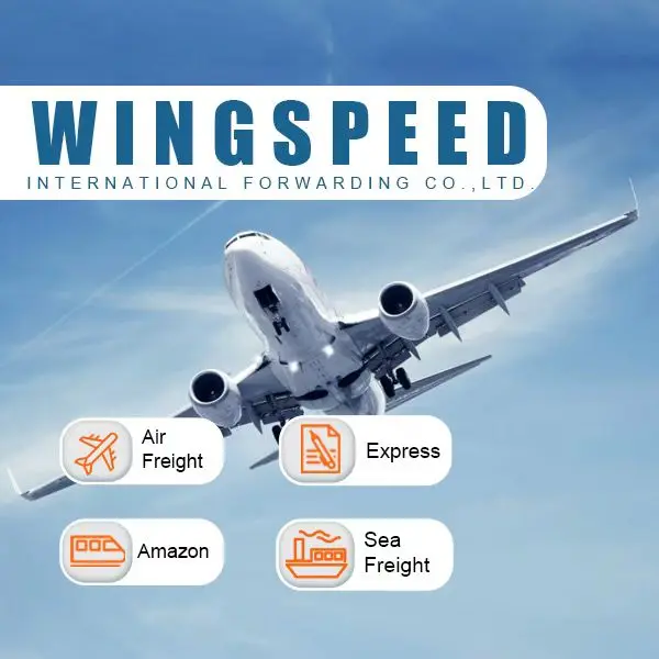 Europe Freight Forwarder DDP FBA shipping door to Door logistics Service Sea freight forwarder to USA Canada