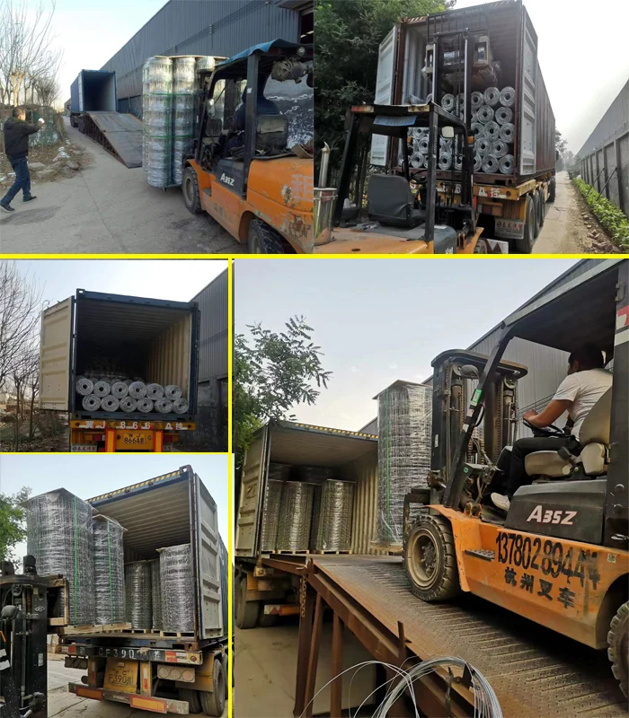 container loading 21.jpg