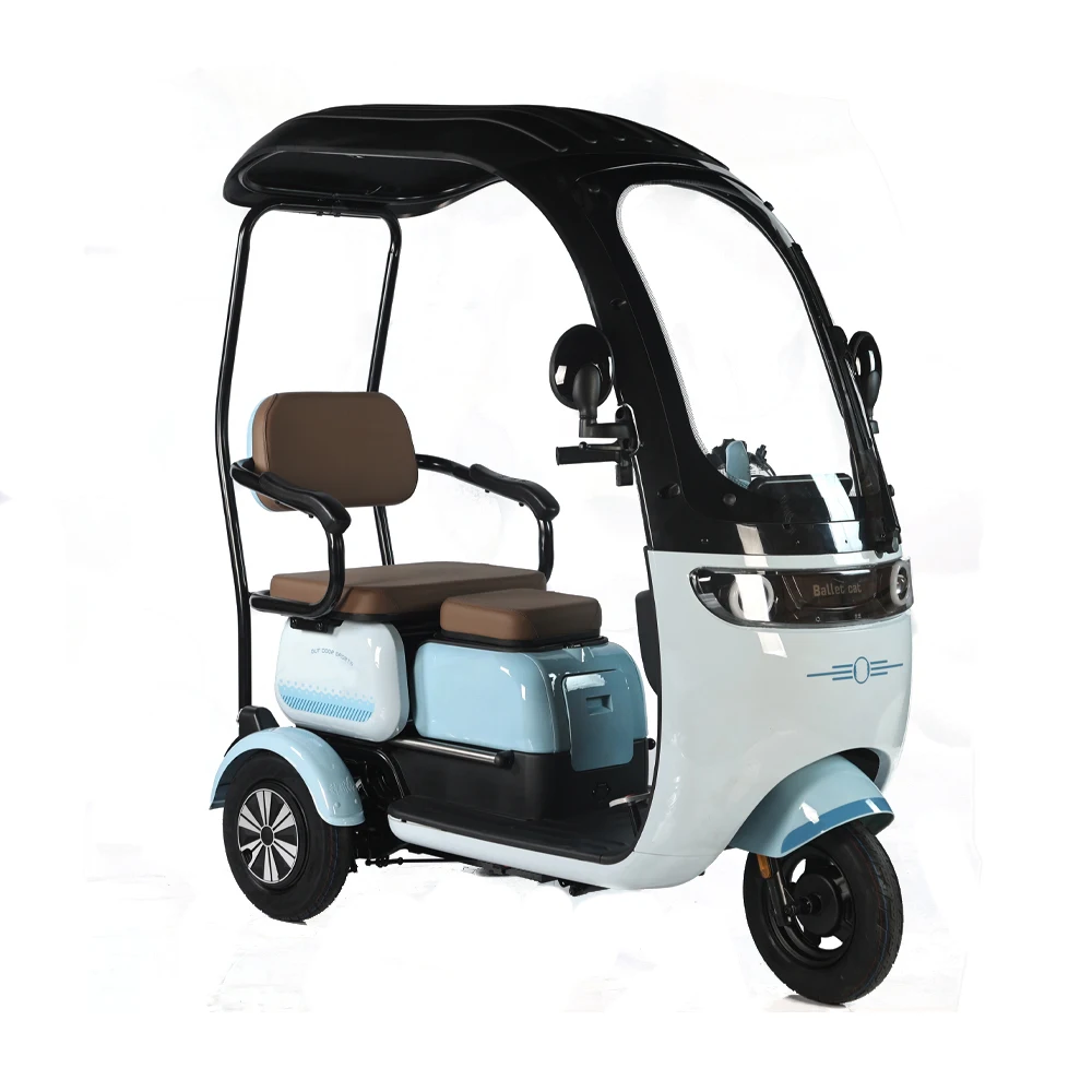 High Quality 500W Tricycle Electric Bike Long Range Electric Pedicab 3 Wheel Cargo Ebike With Roof