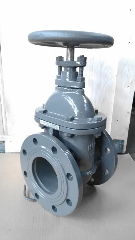 DIN затвор клапан чугун