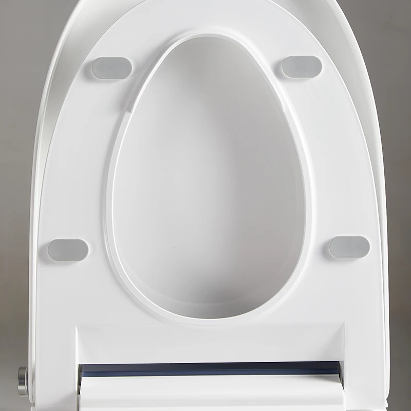 Hidden water tank European wash down bidet wall mounted smart toilet upc bowl WC floor mounted automatic intelligent toilet