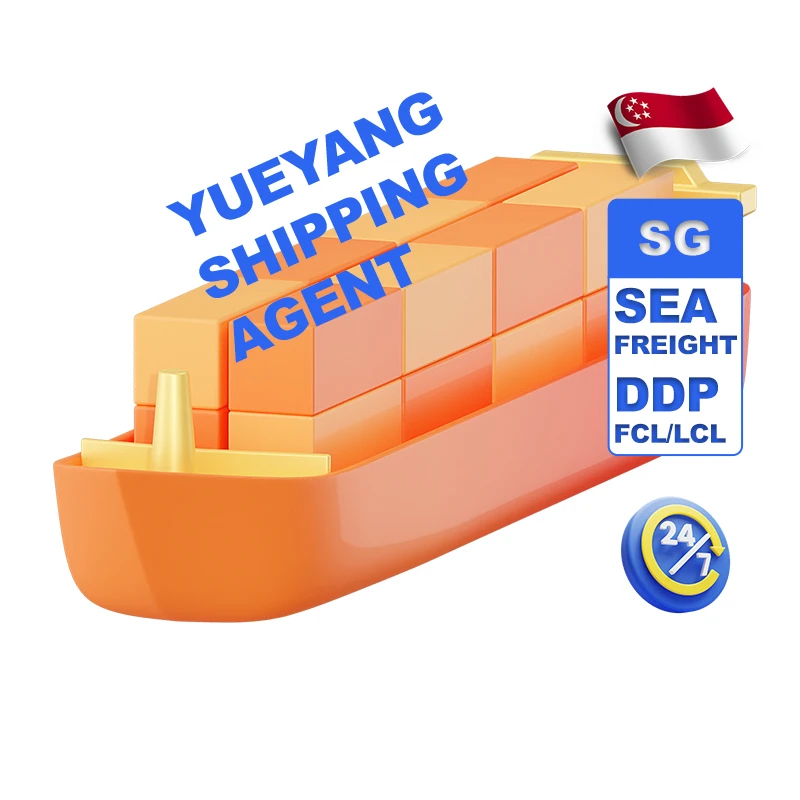 Cheapest Ocean Logistics Freight Transport from China to Singapore Sea door to door delivery Service Free Warehouse