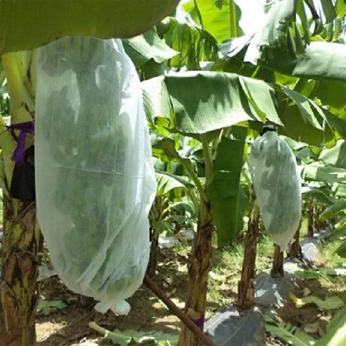 Factory Supply Anti-UV PP Spunbond Nonwoven Fruit Protection Bags For Banana Cover