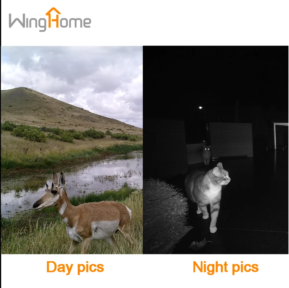 12MP 1080P 3G cellular Deer Trail Hunting Camera with Android & IOS APP