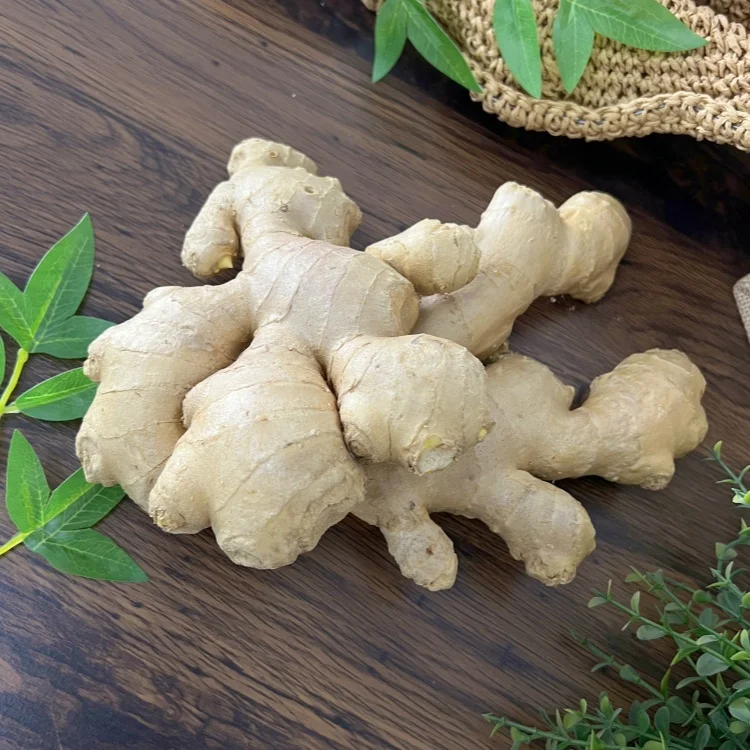 Fresh china ginger wholesale high quality fresh and air dry ginger on sale