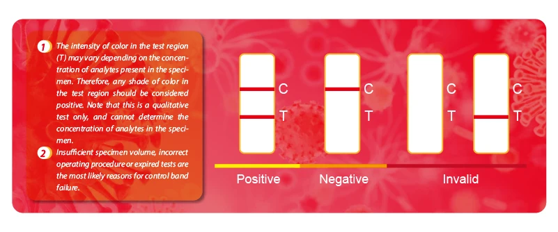 Medical Equipment CE Certificated Wholesale Supplies one step hiv de syphilis duo rapid test kit