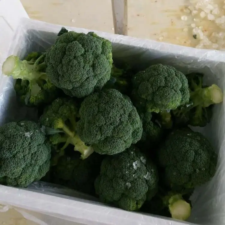 Factory wholesale China Vegetables Broccoli export price fresh broccoli from China