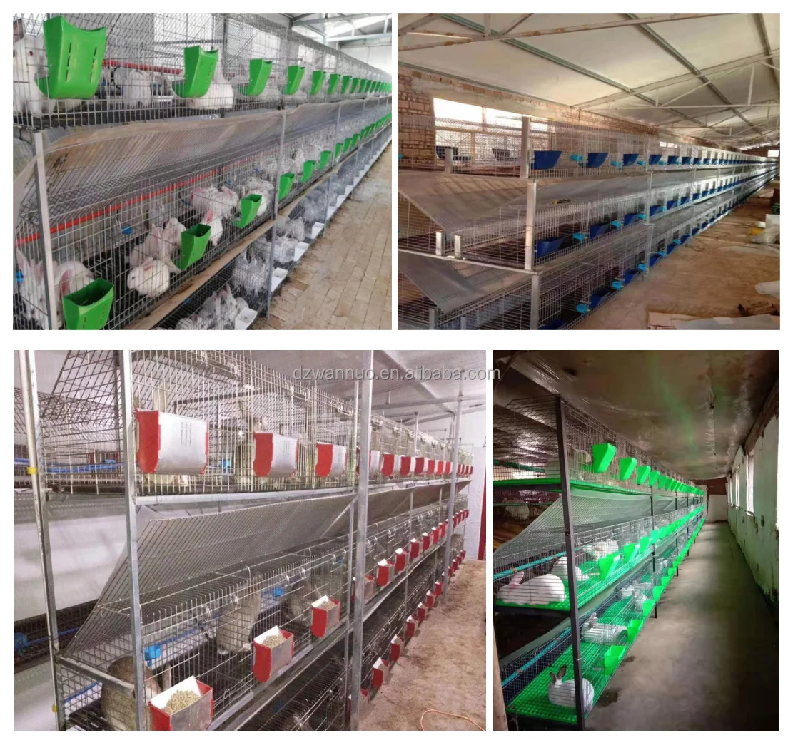 Commercial rabbit farm hot dip galvanized wire 3 tiers 12 door rabbit cage layer automatic rabbit breeding cages in kenya farm