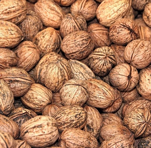 
Delicious Organic Pecan Nut 
