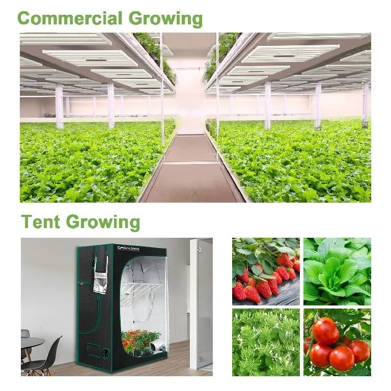 Mars Hydro FC6500 680W 2.9Umol/J 1858 Umol/S Led Grow Light With Samsung lm 301b Vertical Farming