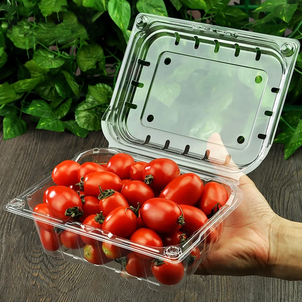 Одноразовый пластиковый контейнер для хранения RPET/PET, прозрачная блистерная раскладушка, изготовленный на заказ помидор 500 г, упаковочная коробка для фруктов
