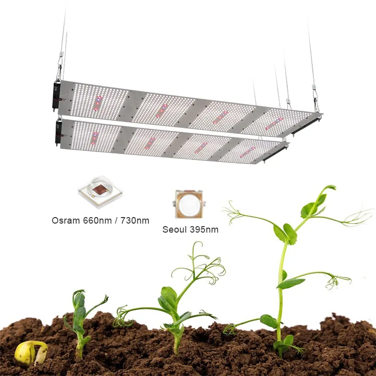 Meijiu X Light, Customized 600W Samsung Lm301B 3000K 4000K Pcb Led Grow Lights For Indoor Plants/