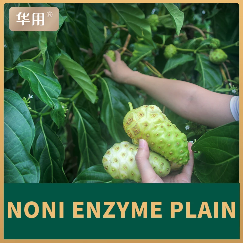 
huayong Nori fruit juice enzyme 2500ml non Noni fruit extract Noni fruit extract 