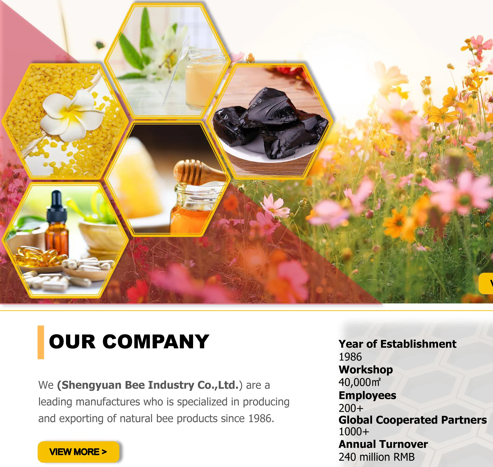 China factory 100% All Natural white pellet Beeswax Particle Honey Bee Wax for Cosmetic