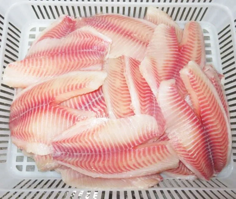 High Quality IQF IVP Packing Frozen Boneless Fish Tilapia Fillets